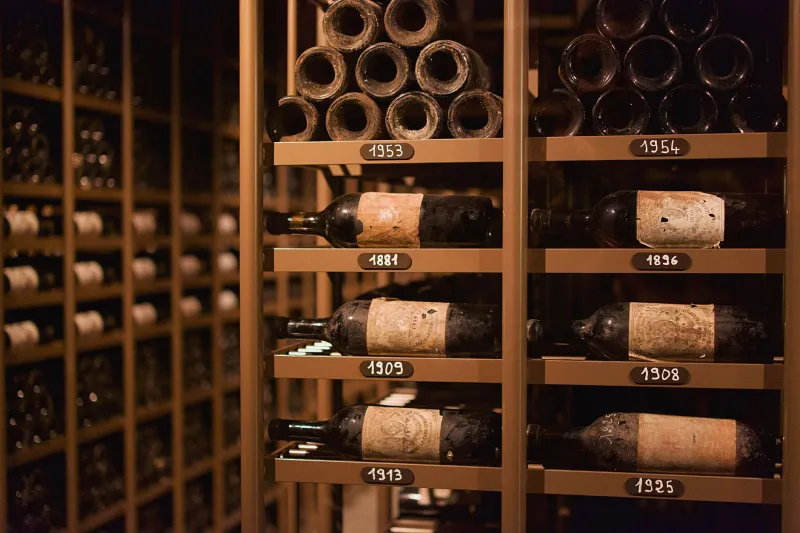 Stop Looking for the Grape: How to Actually Read a French Wine Label